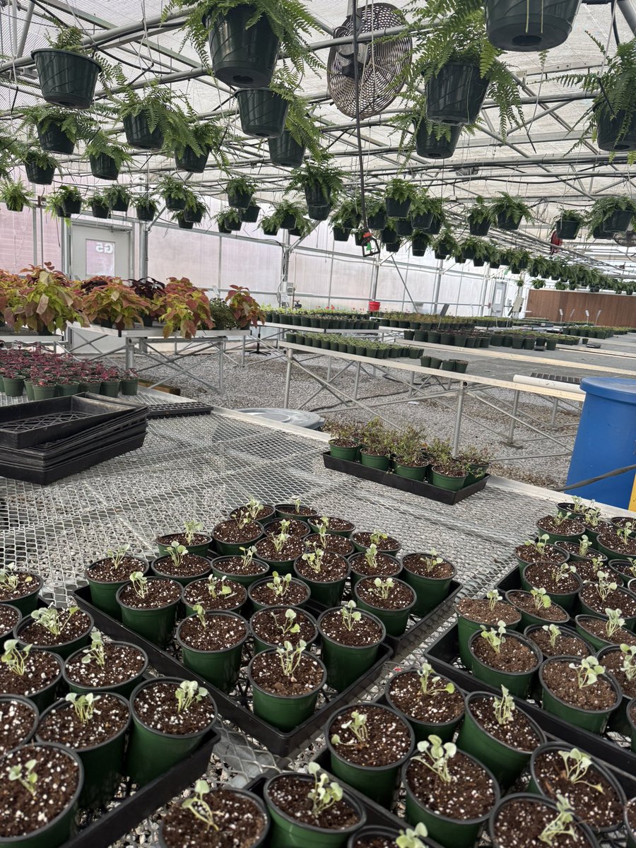 Liberty Technology High School tweet media