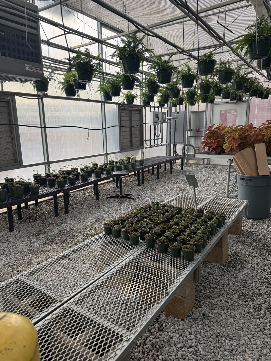 Liberty Technology High School tweet media