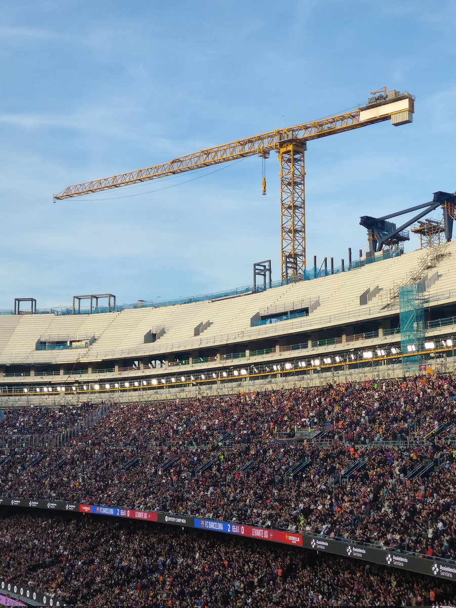 bonxabal tweet media