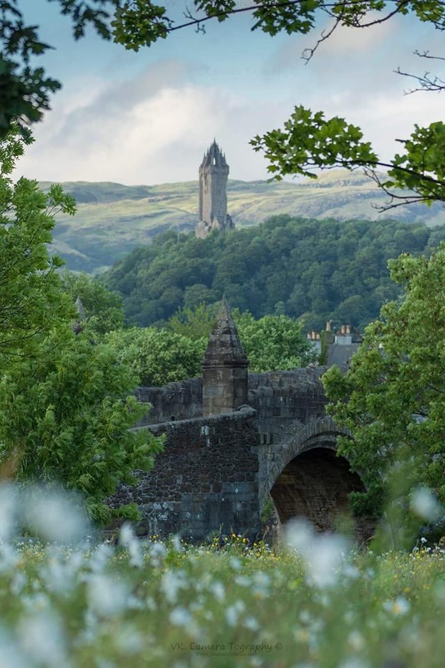 Celtic Aesthetics (@celtaesthetics) on Twitter photo 