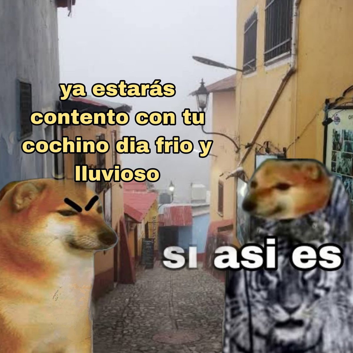 This Charming Cap (@briagowsky) on Twitter photo 