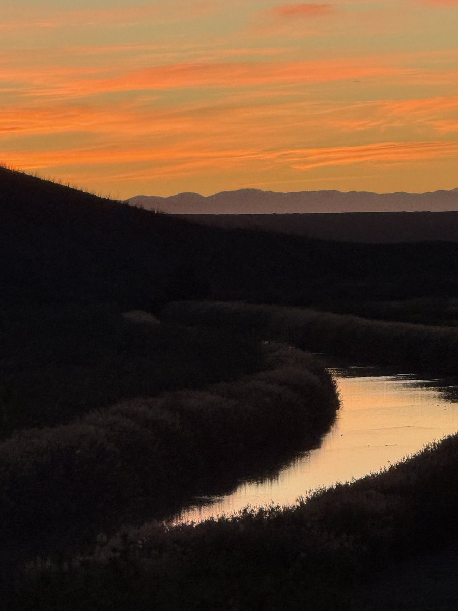 Ed Cowsar tweet media