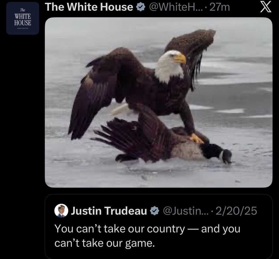 Will Compton tweet media