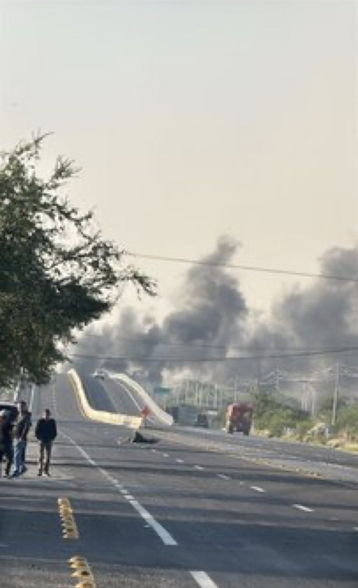 LVCnoticias tweet media