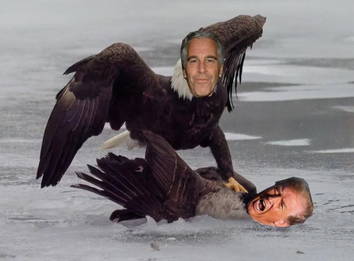 TheFl0orIsLaVa's tweet image. 