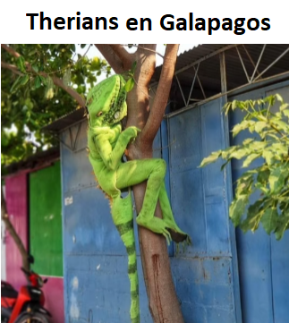 CJ (@ciyiei) on Twitter photo 