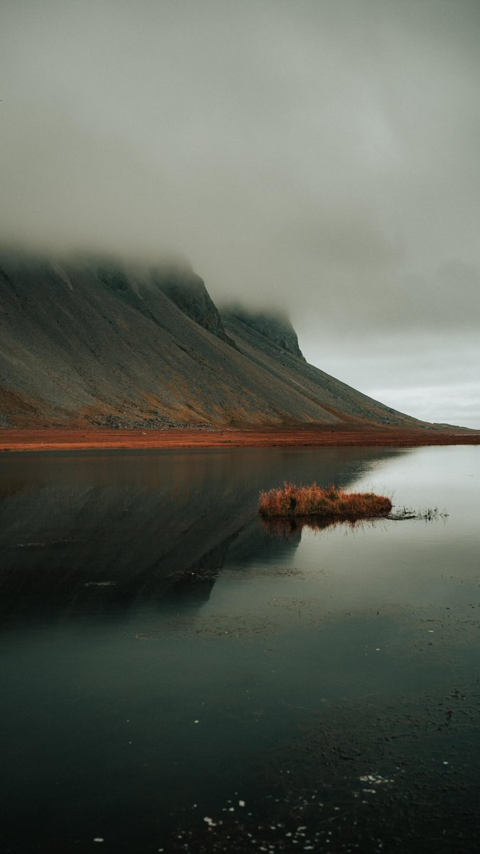 Pat (@patbrdh) on Twitter photo 