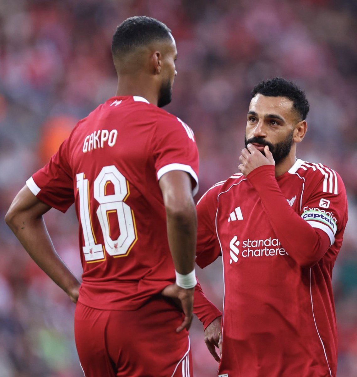 #LFC 🔴 🚨 
Arne Slot was really unhappy with Cody Gakpo and Mohamed Salah today. Not just the performance of the players but the reaction to being subbed off from both of them.