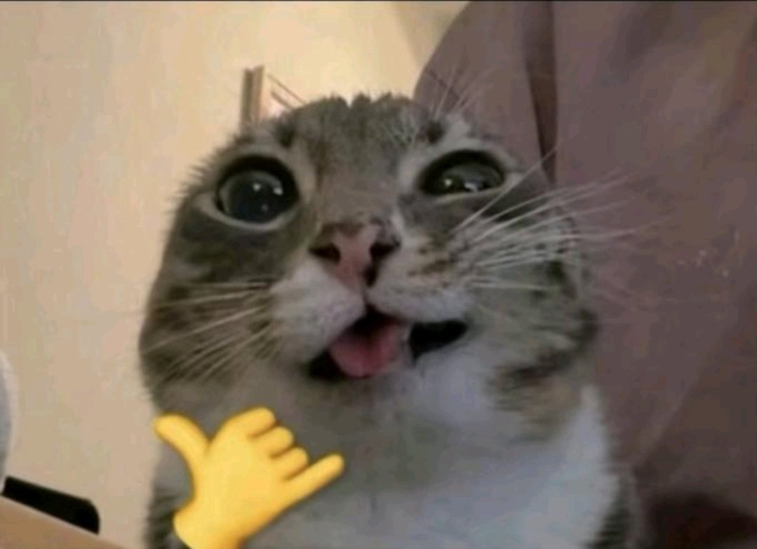 Gizzy || Undead Punk 🧠🎸 tweet media