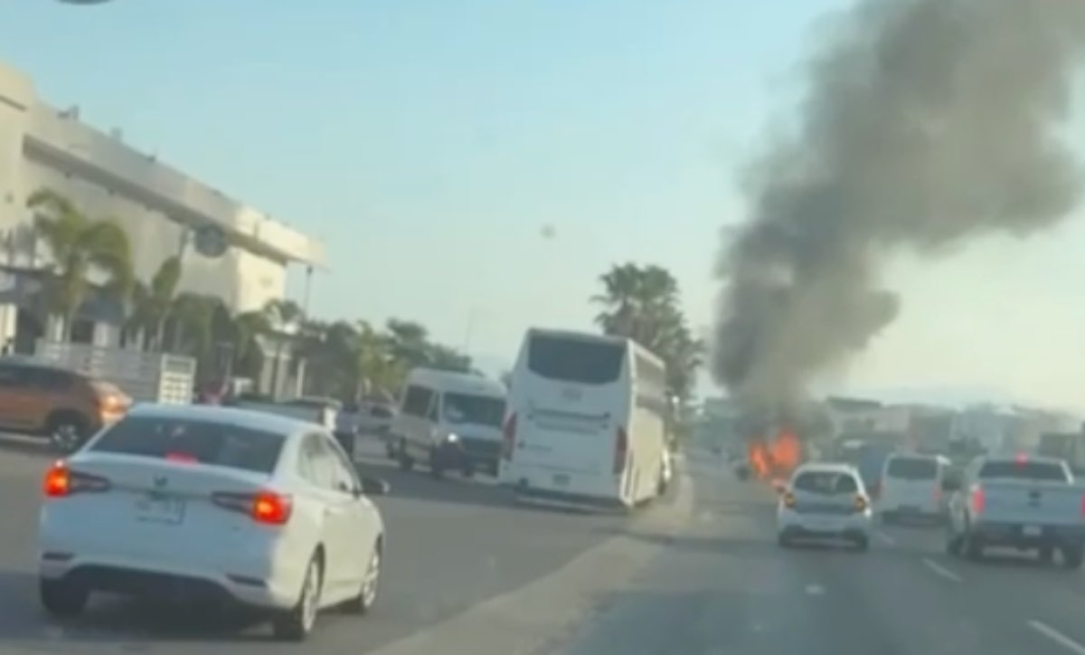 Prófugos del Ácido Fólico tweet media