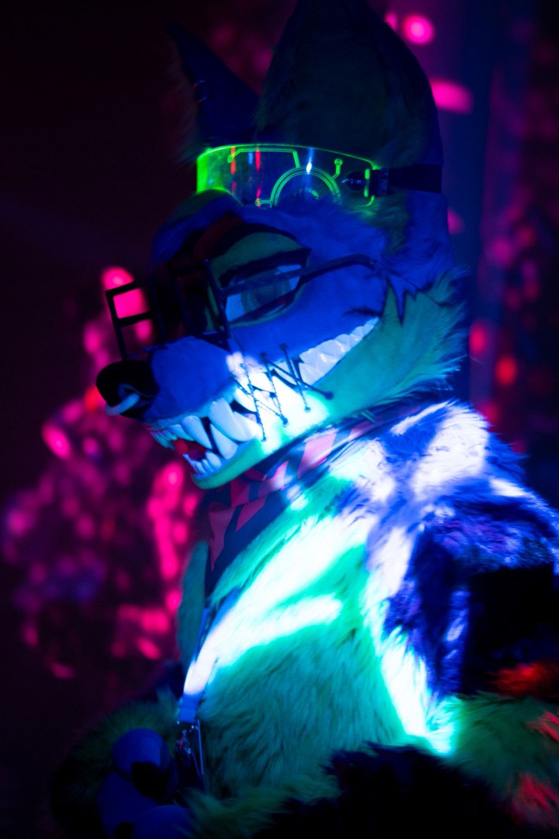 Sachsen Furs e.V. tweet media