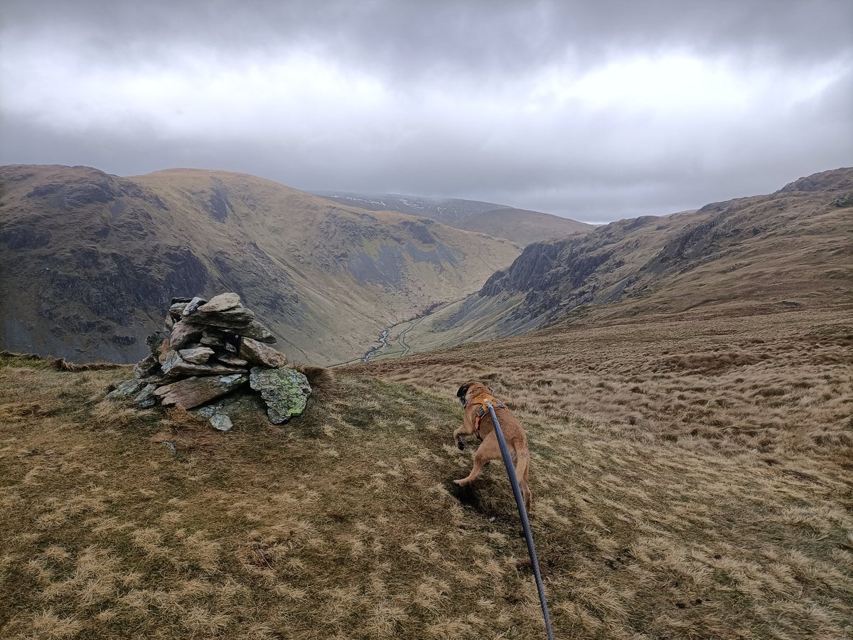 mikesmountainhikes tweet media