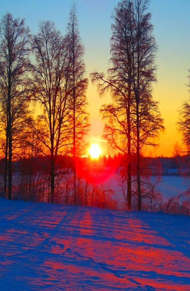 Orhan🇹🇷🇹🇷 tweet media