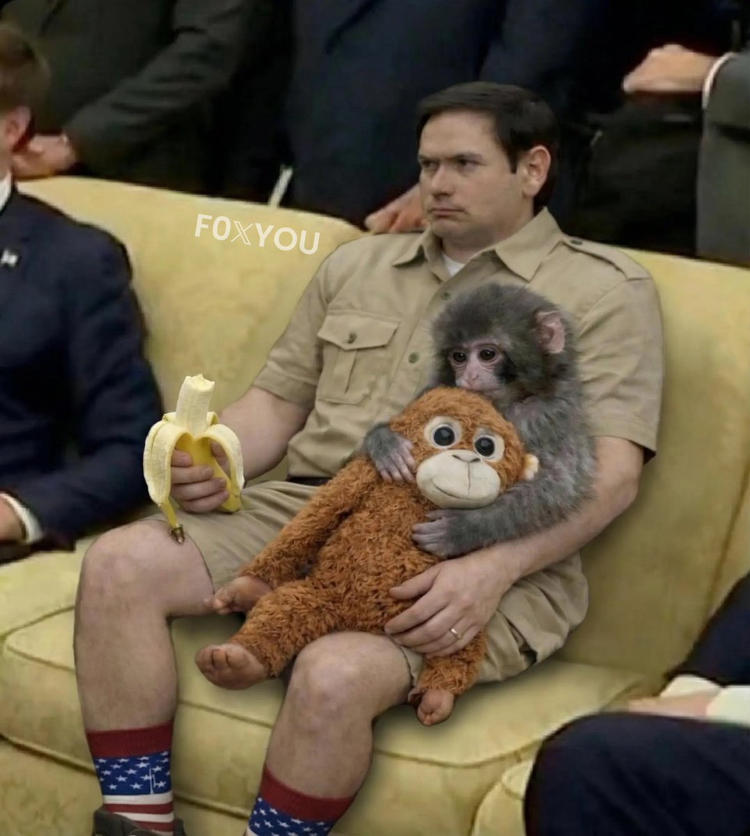 Marco Rubio has been designated as Punch’s caretaker.