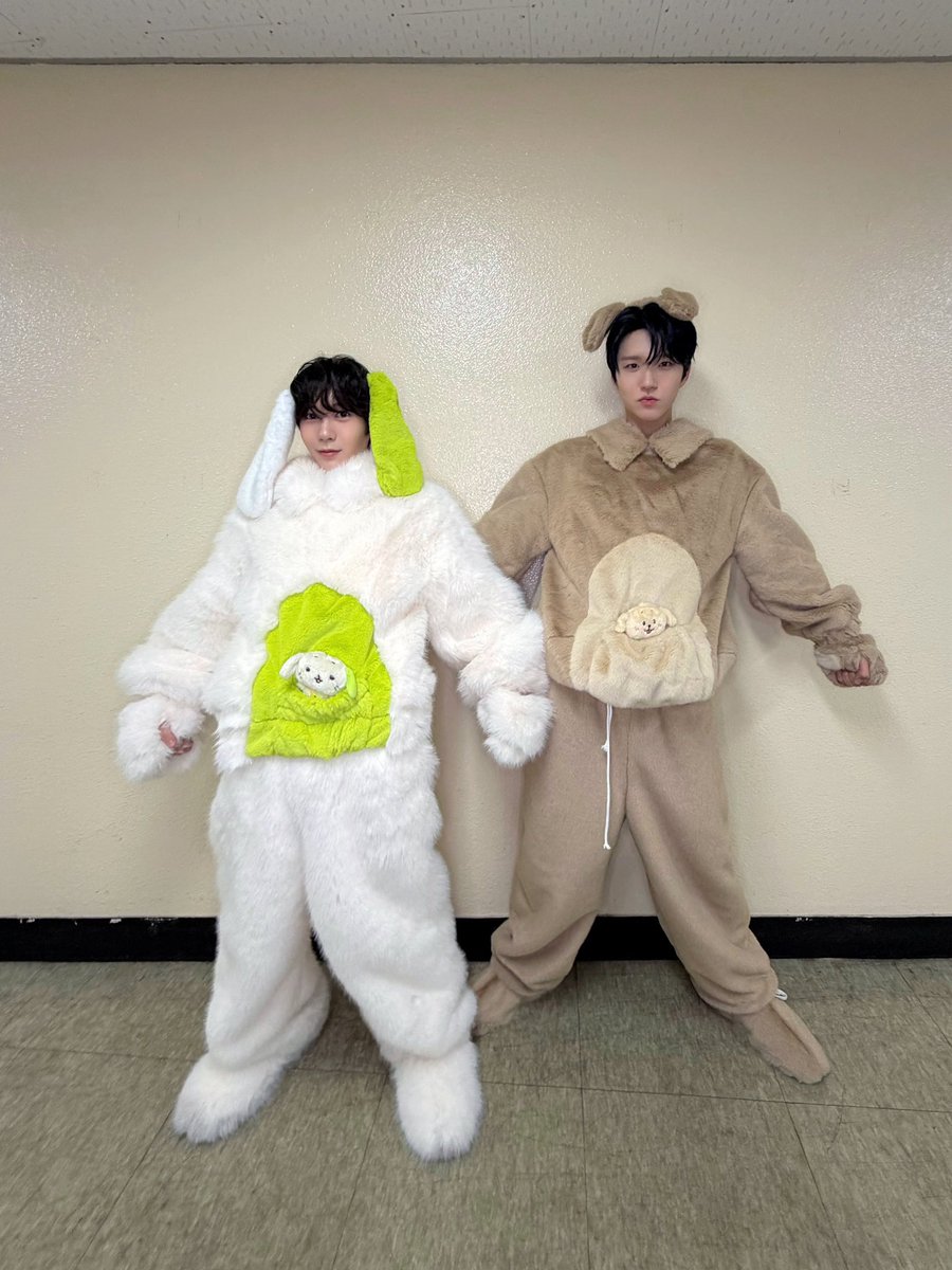 mikann1828's tweet photo. 멍멍파 냥냥파 너무 확실해서 뱃살로식탁내려치는중임 https://t.co/Esb0eminhm