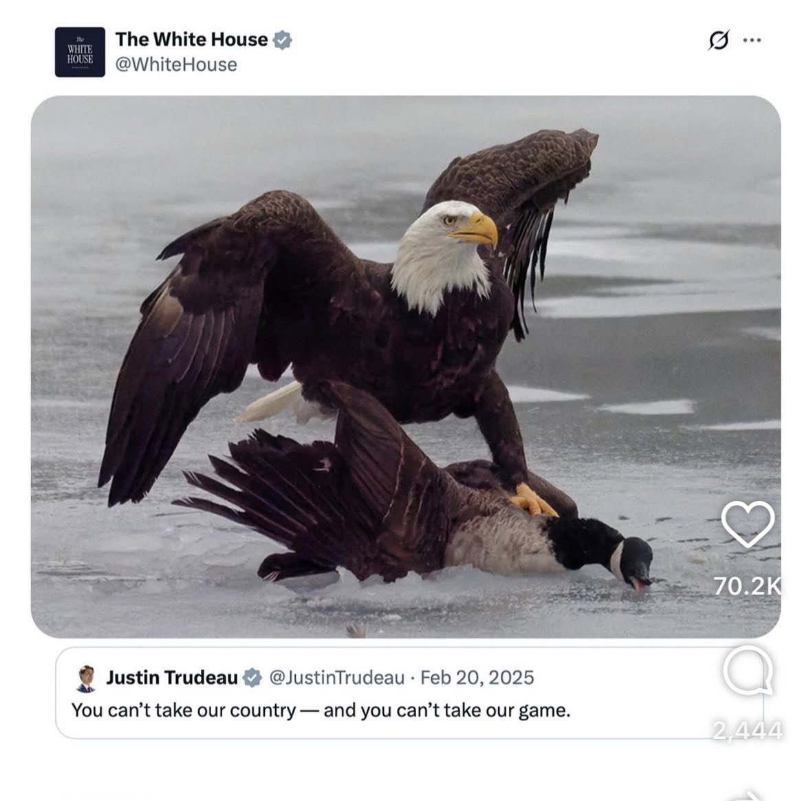 leebreard's tweet photo. USA 🇺🇸 https://t.co/oWBQewyDAj