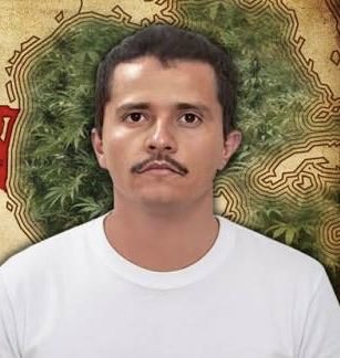 David Vargas Araujo tweet media