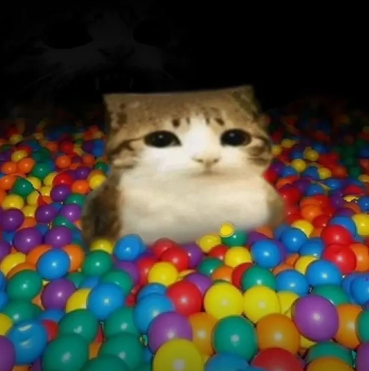 Atsushi Fooskie tweet media