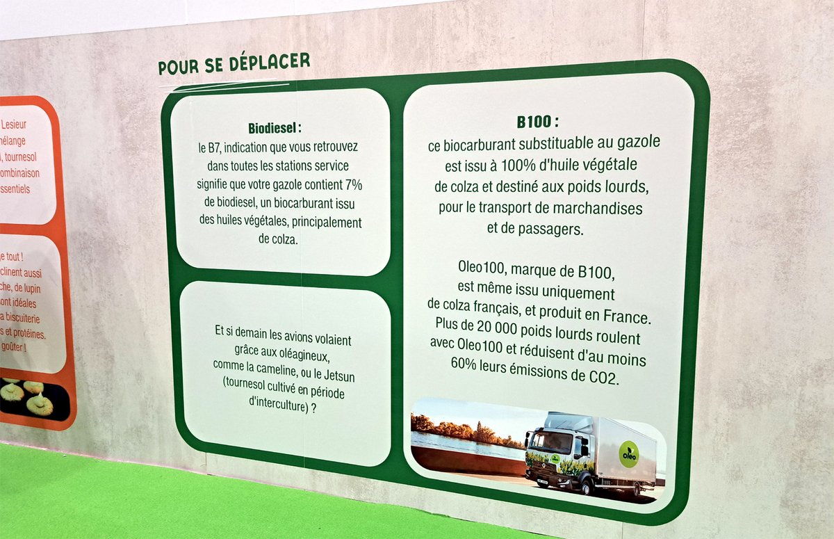 transbus.org tweet media