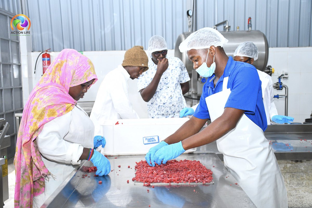 Action Life Kenya tweet media