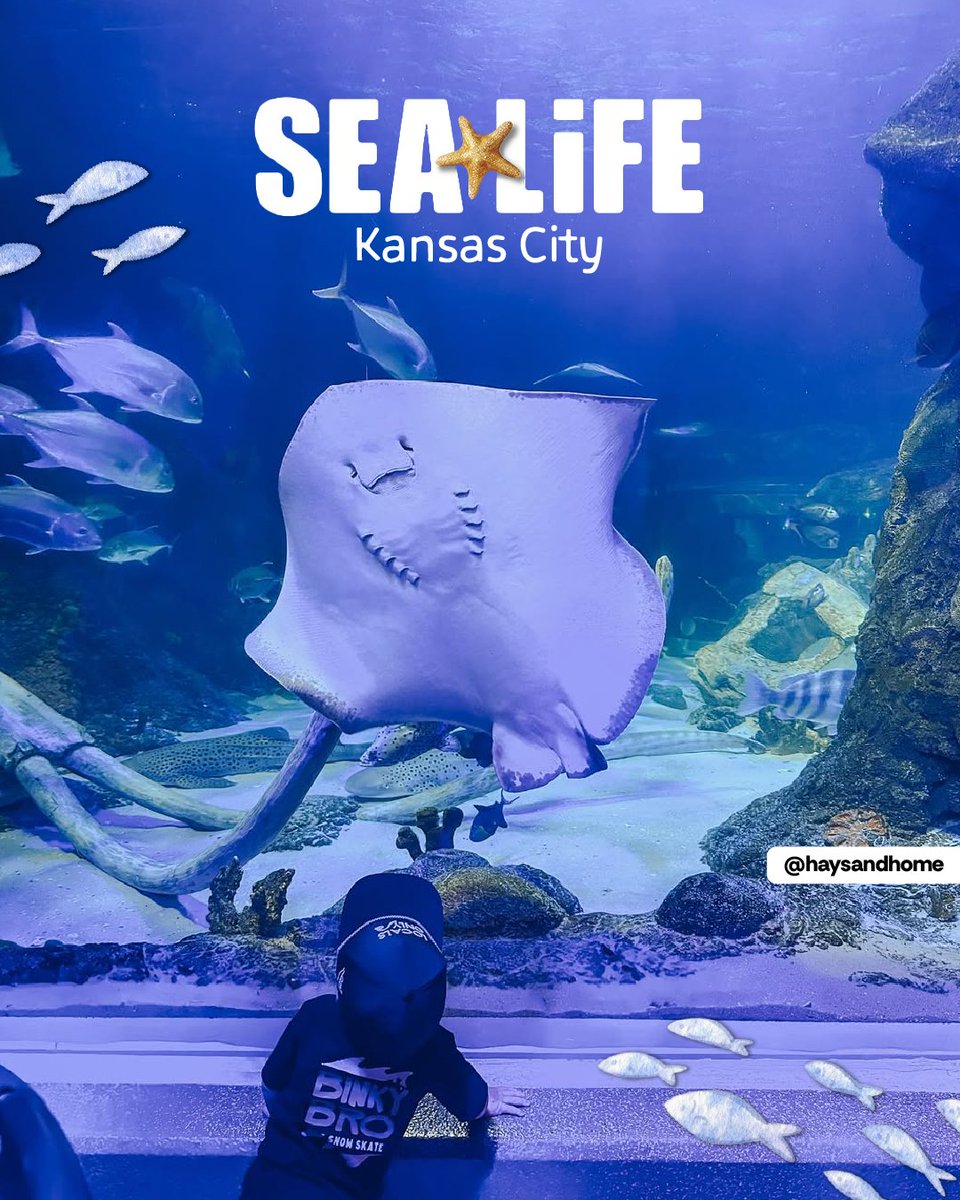 Crown Center tweet media