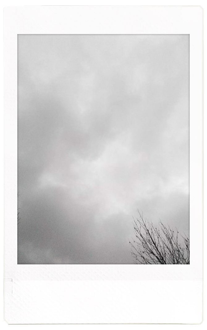 息子にチェキを持たせてみた