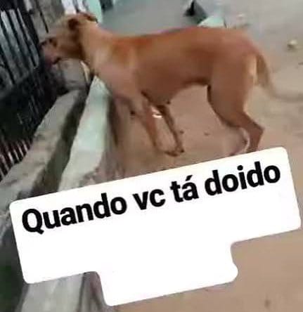 Caduzinkkjj's tweet image. Sem baixar nenhuma imagem, defina como é namorar com vc