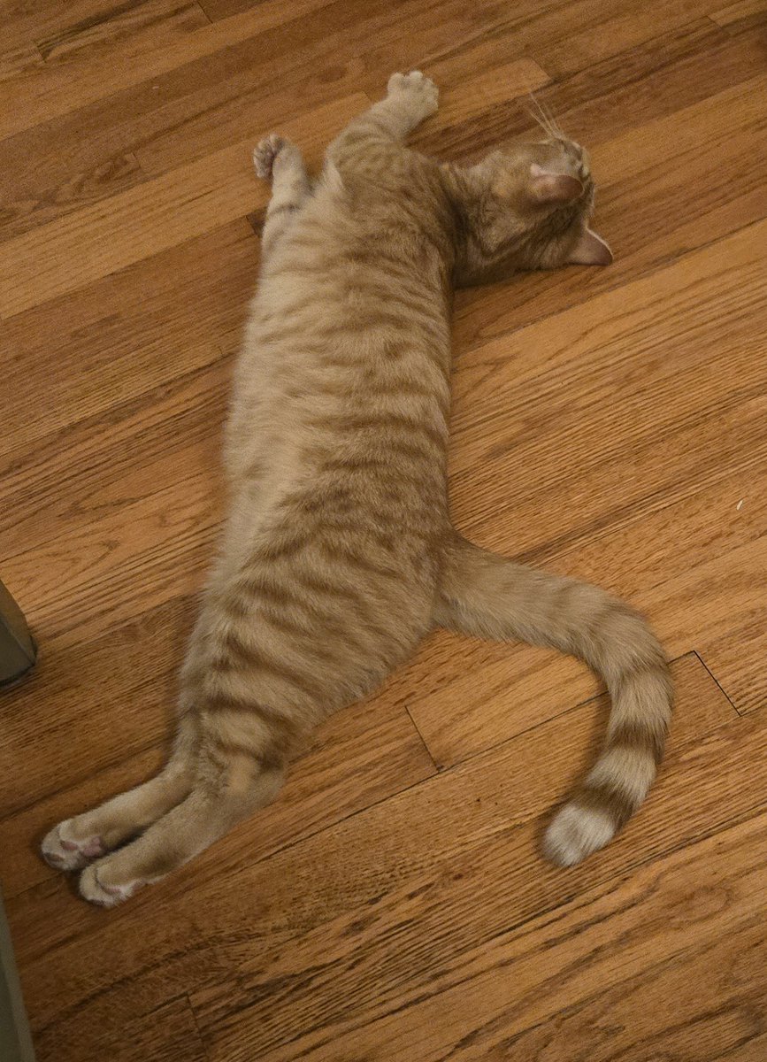 Nerdy_Senpai 🌸 tweet media