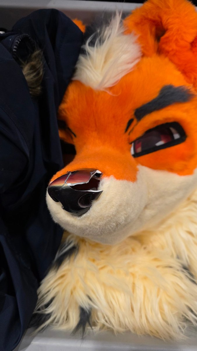 Koinu / 코 이 누 🔜 ??? tweet media