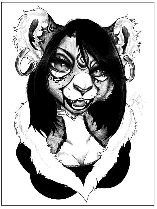 curfew.01 tweet media