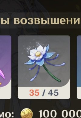 ебала я в рот твои цветочки цзы бай