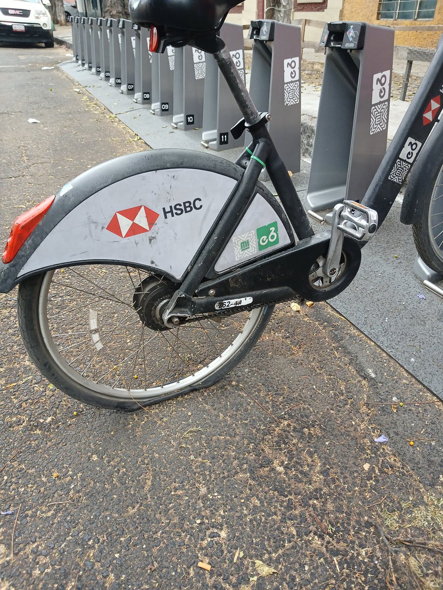 Ismael A.T. tweet media