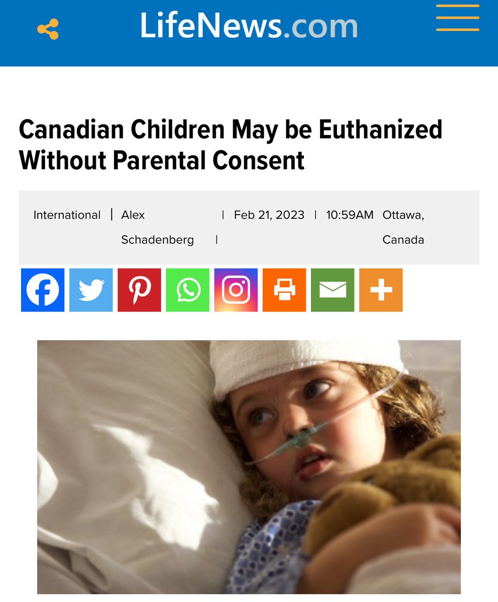 liz_churchill10's tweet image. We’re in a lot of trouble up here.