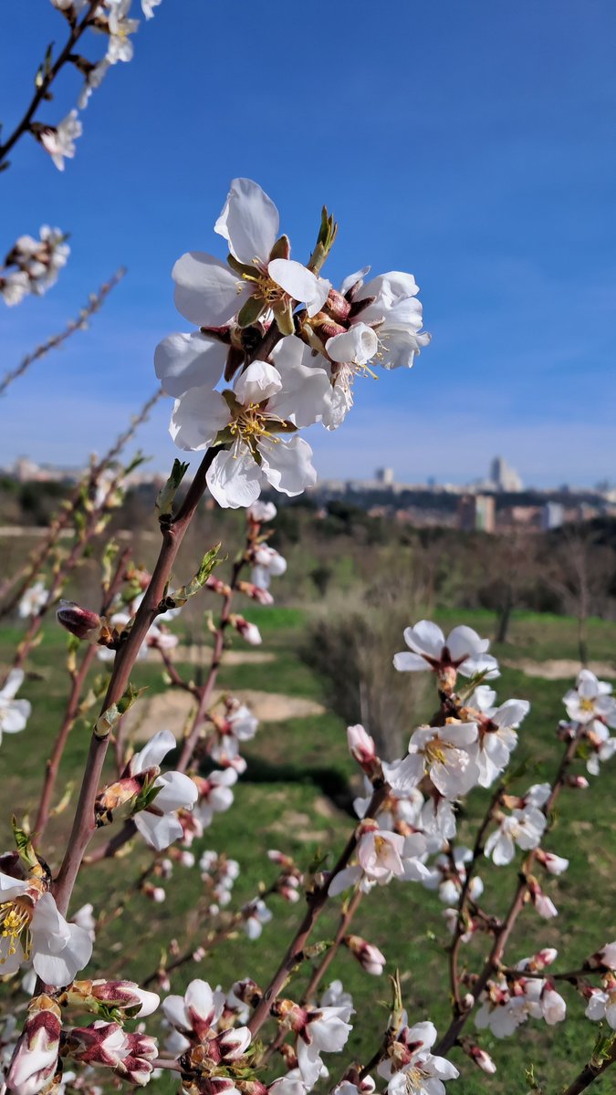 Bobin'St tweet media