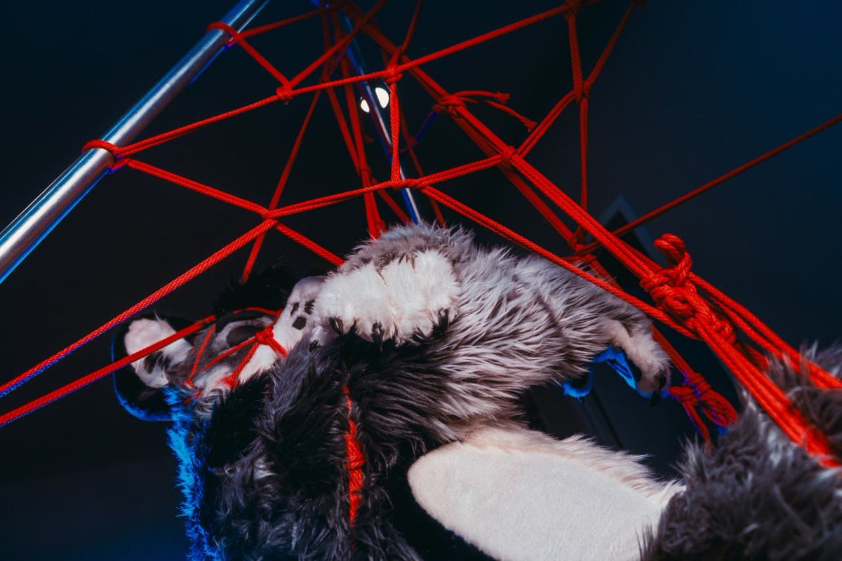 Trying some new things 😋🕸️🪢
<a href="/kotori219/">双草酸酯/CPPO</a>