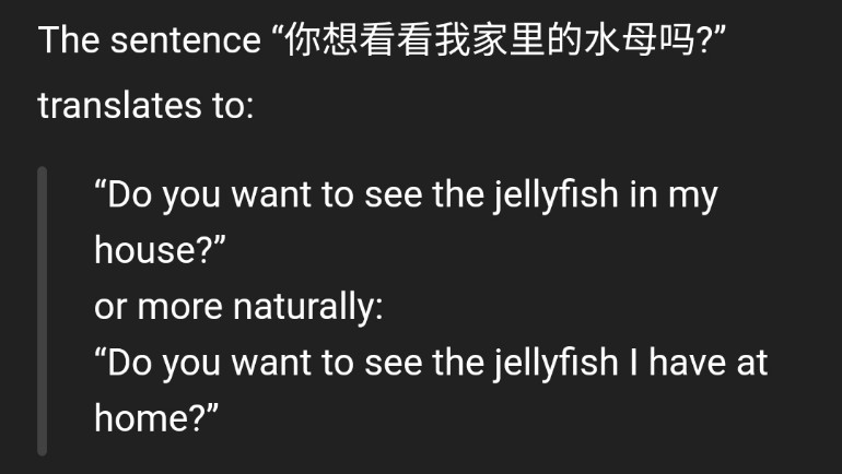 ?? but sure, let's see jellyfish at your home 🤣