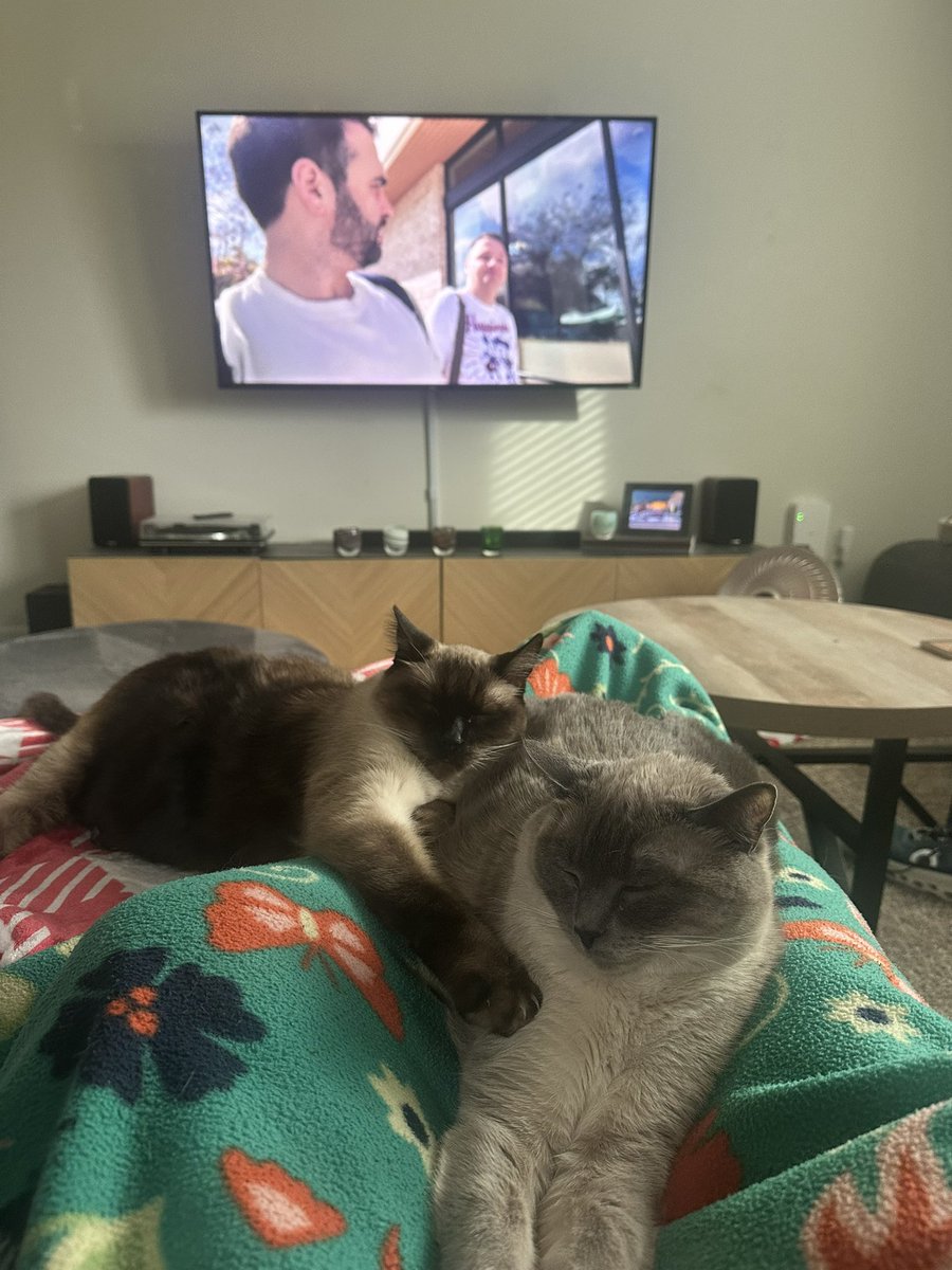 donnie adams tweet media