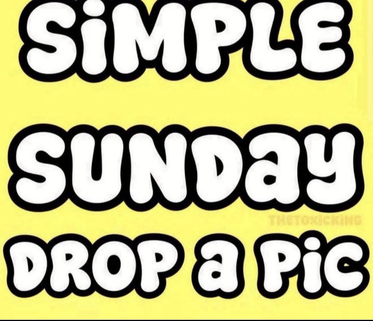 TheToxicKing tweet media