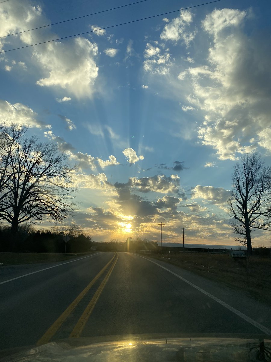 Return To The Land tweet media