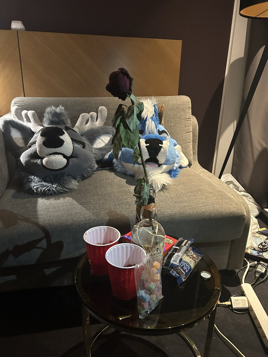 Nordic 🌸 tweet media