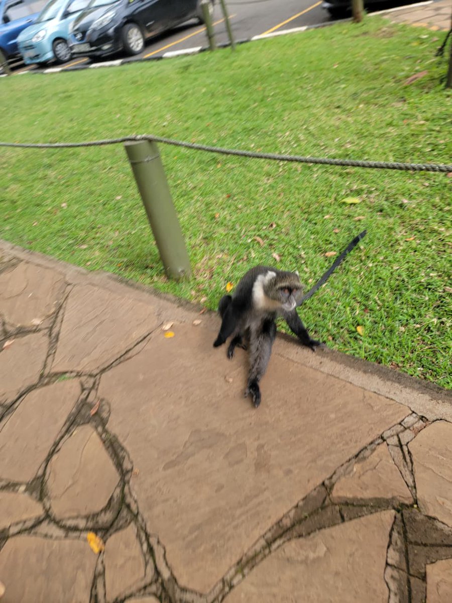 Na hivo ndo siku imeisha Leo Hadi vitabu Kumi akawagotea