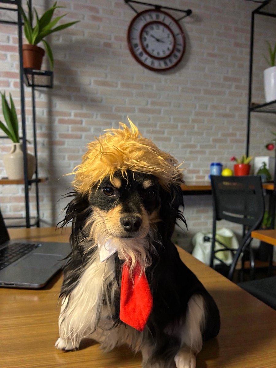 Rocco stands with Trump 🇺🇸🇺🇸🇺🇸