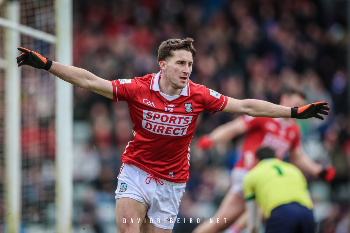 David Ribeiro tweet media