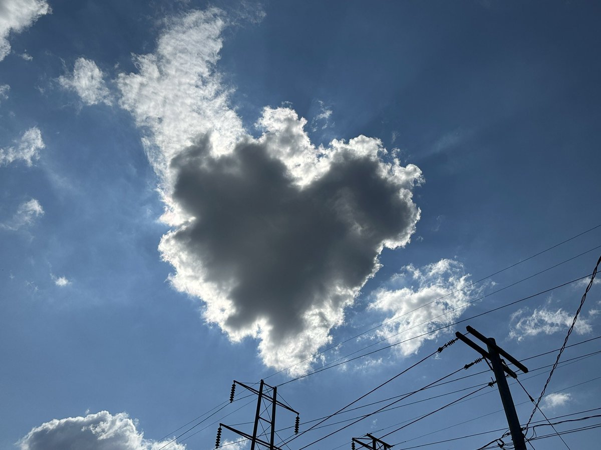 Will McWeather tweet media