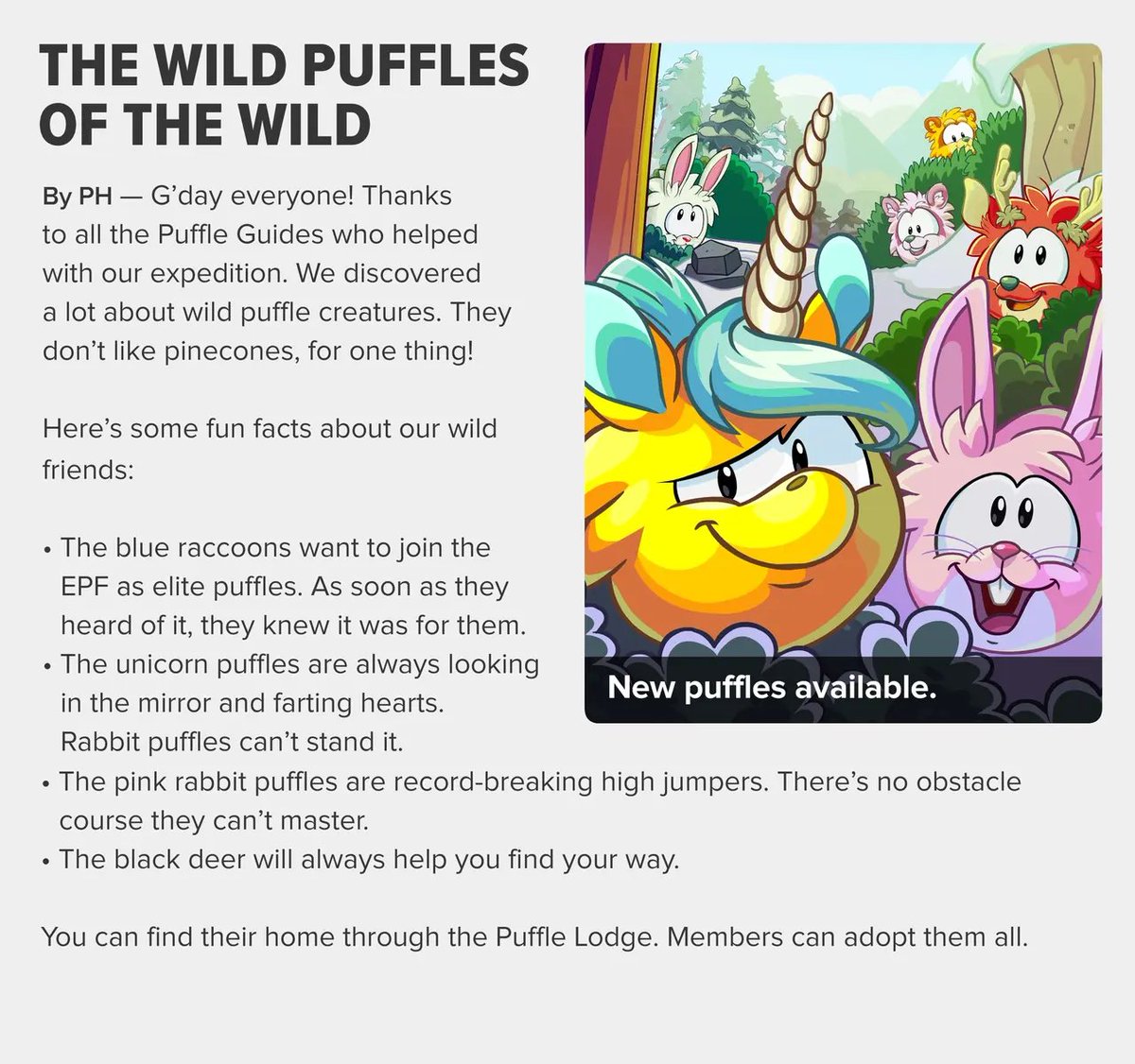 Forgotten Club Penguin Facts tweet media