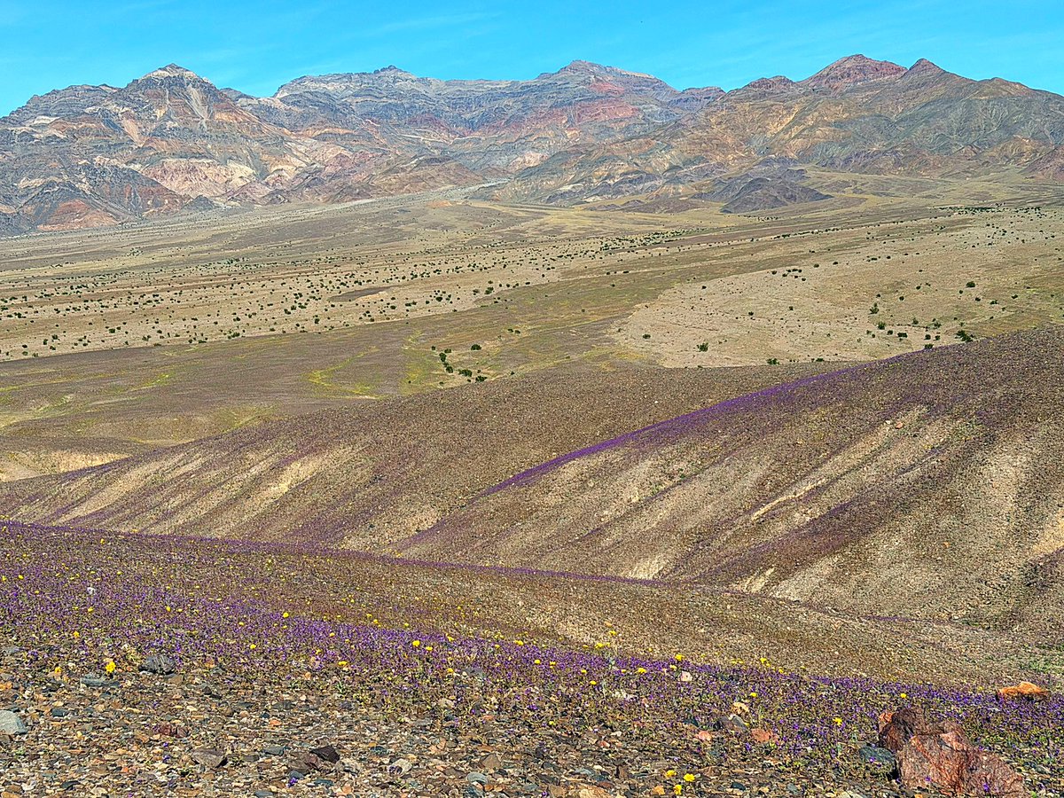 LM Cunningham tweet media