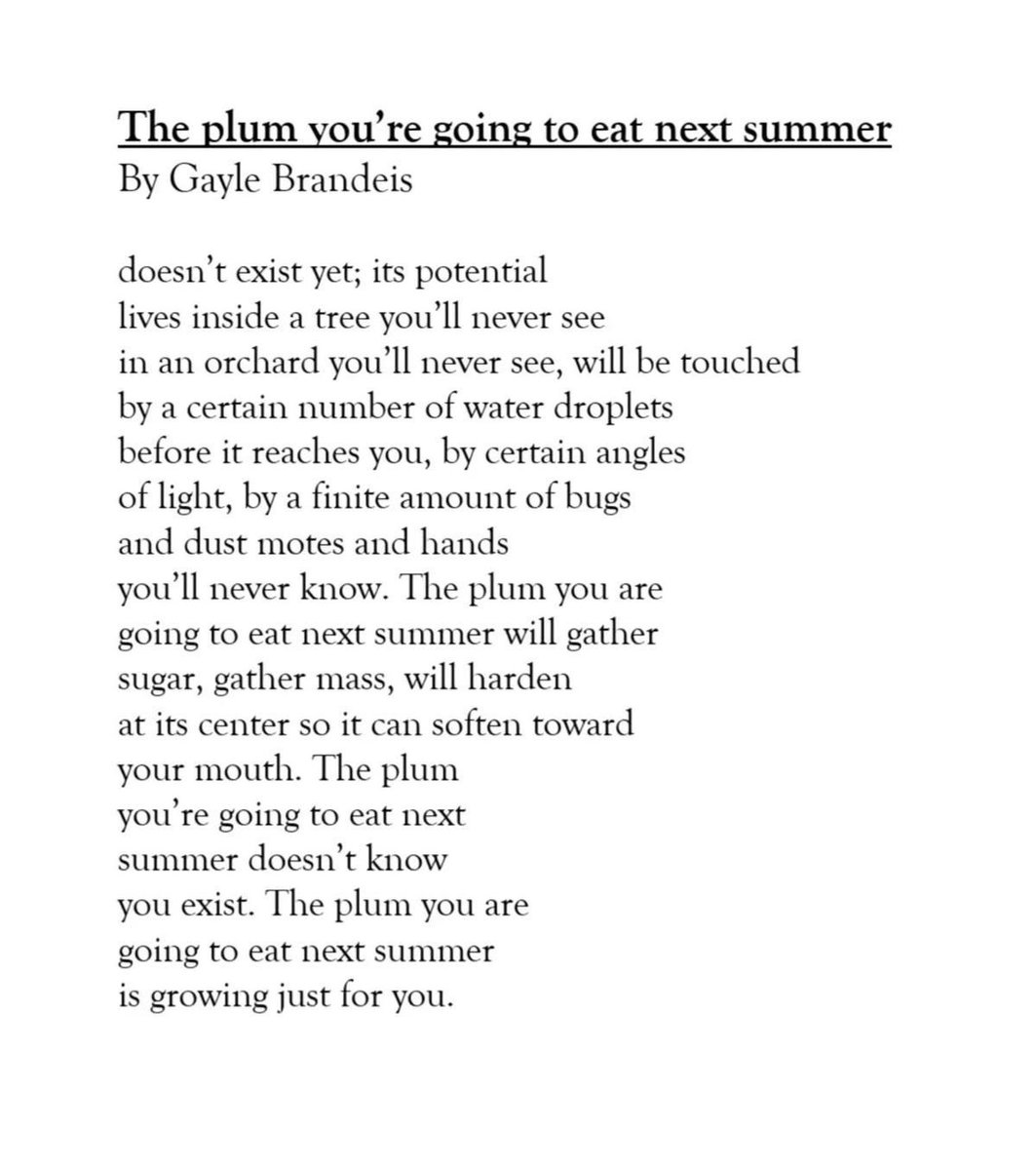 The plum you're going to eat next summer.