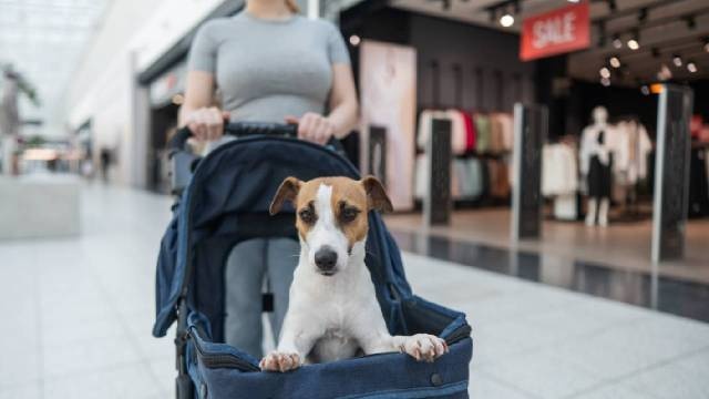 Animal Matters tweet media