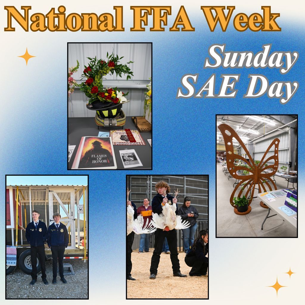 CFISD Livestock Show tweet media