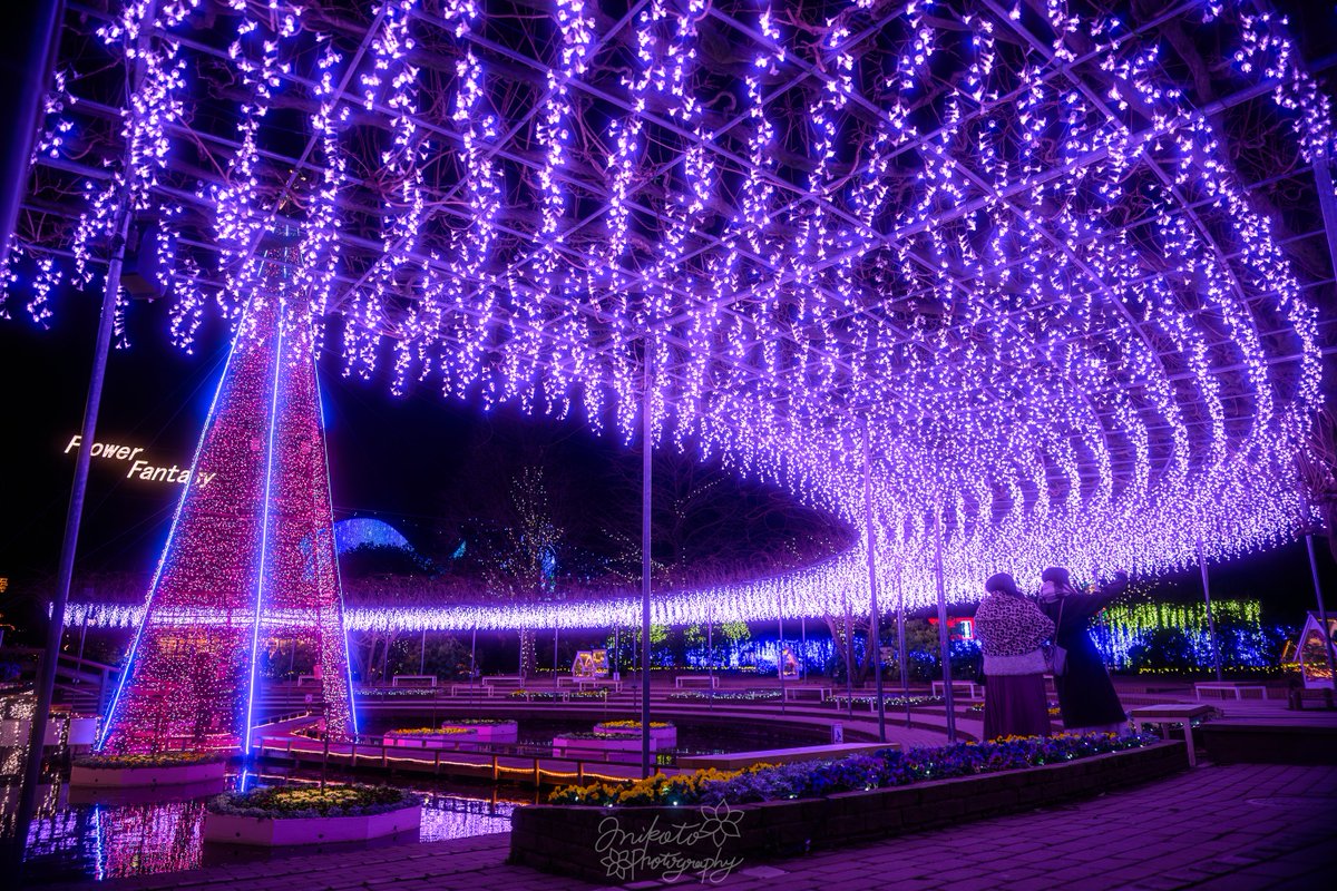 📷：𝙉𝙞𝙠𝙤𝙣 ℤ9 lens：NIKKOR ℤ24-70mm f/2.8 S II 撮影地：栃木